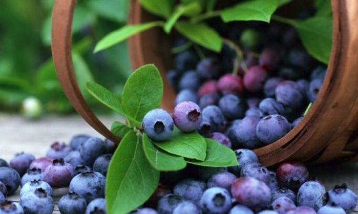 Os mirtilos são uma fruta popular que melhora efetivamente a acuidade visual. 